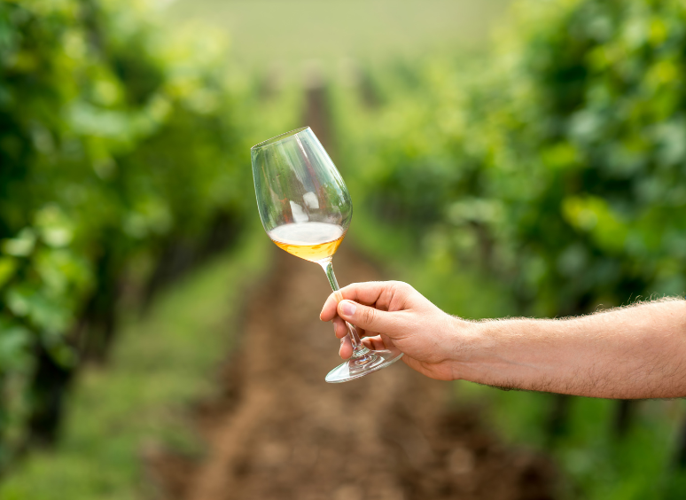 Quello che resta. Nel vino e nella vita.