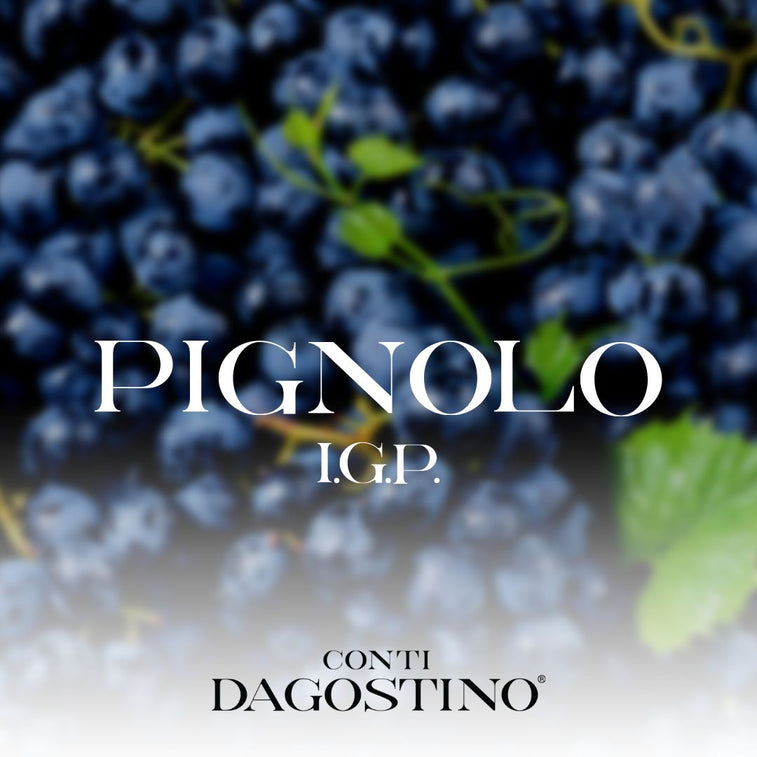 Pignolo I.G.P. Trevenezie